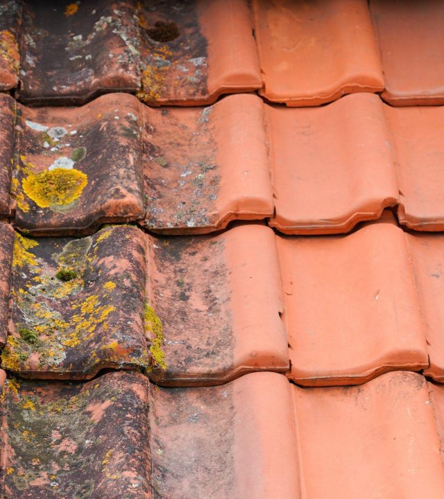 Comparison roof top before and after cleaning moss lichen high pressure water cleaner tile